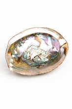 Load image into Gallery viewer, Abalone Shell
