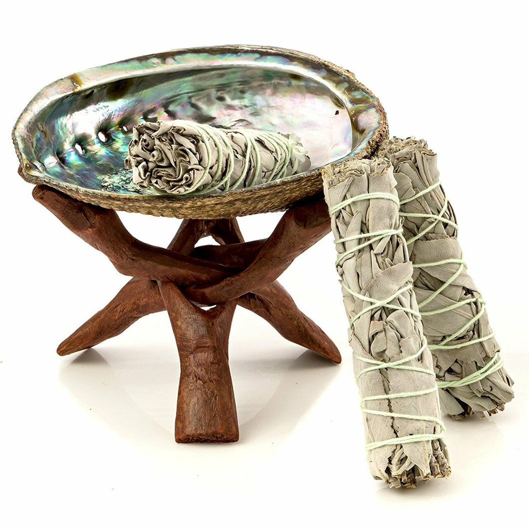 Sage, Abalone Shell and Cobra Stand Gift Set