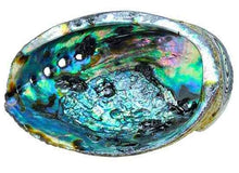 Load image into Gallery viewer, Abalone Shell
