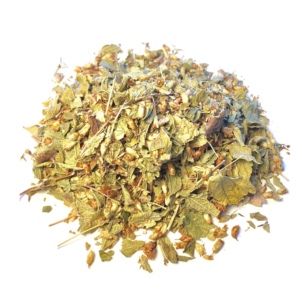 Dream Herb (Calea Zacatechichi)